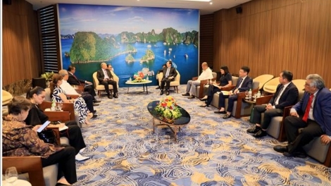 Quang Ninh se dispone a atraer inversiones mexicanas en sus sectores estratégicos