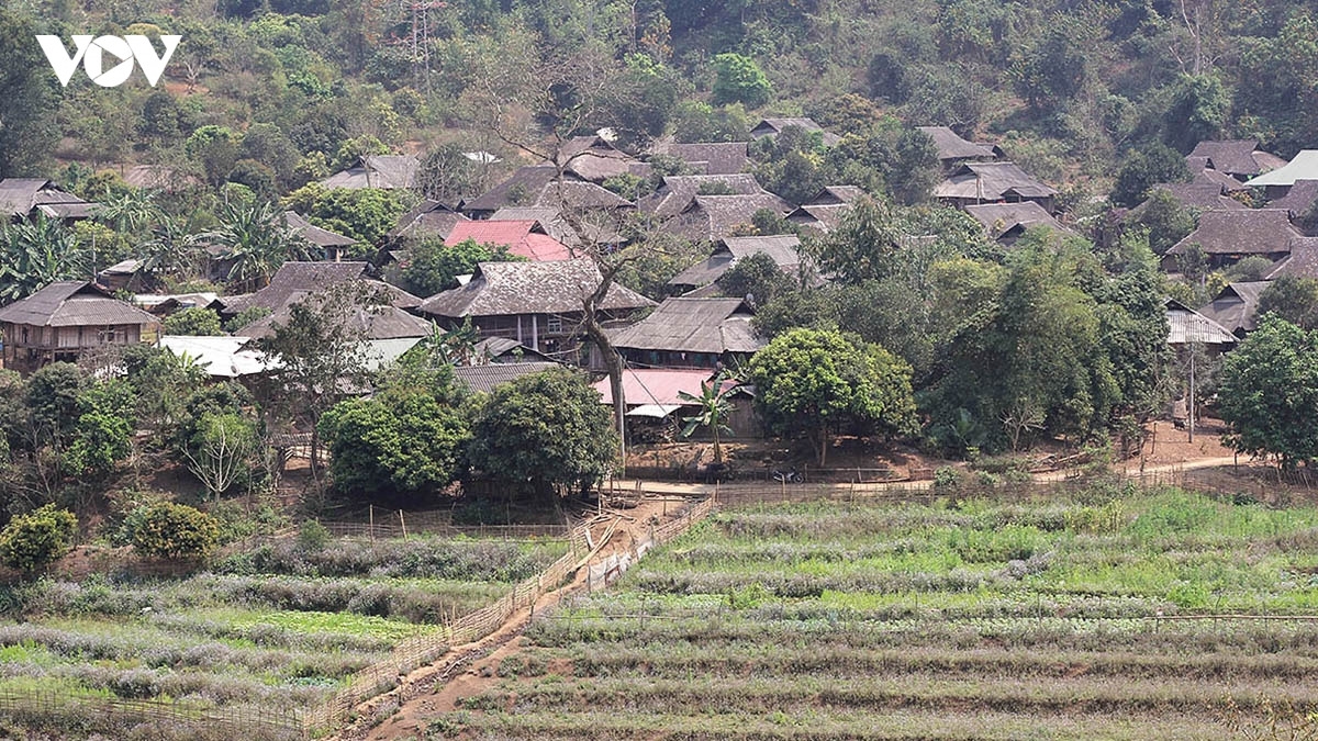 ベトナム西北部のタイ族の精神文化を今に伝える高床式住居（写真：VOV.VN）