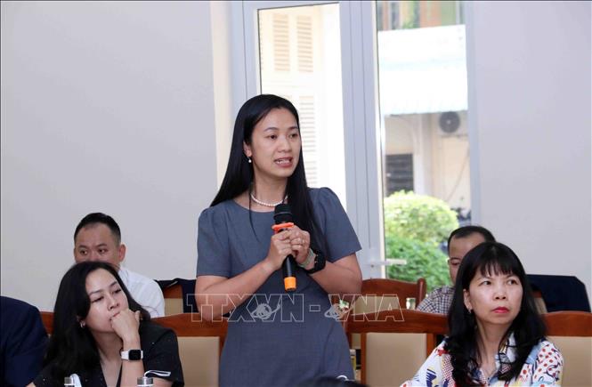 Активизация внешних связей и расширение взаимодействия южновьетнамских провинций с зарубежными партнёрами