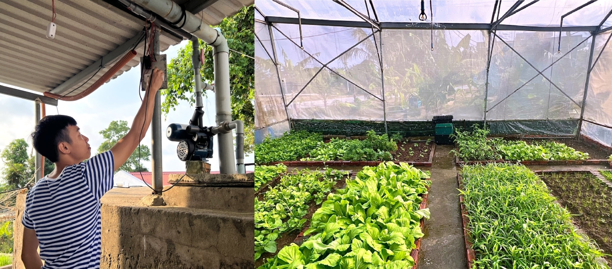 El jardín verde de los soldados vietnamitas acuartelados en el mar