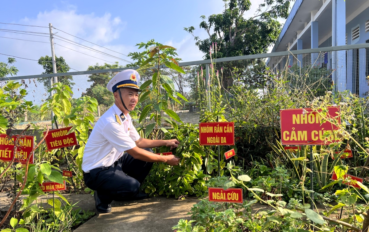 바다를 지키는 군인들의 작은 녹색 정원