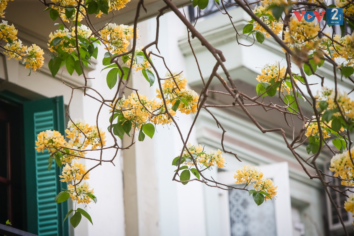 ការឆ្លើយសំបុត្ររបស់មិត្តអ្នកស្ដាប់ក្នុងសប្តាហ៍កន្លងទៅ