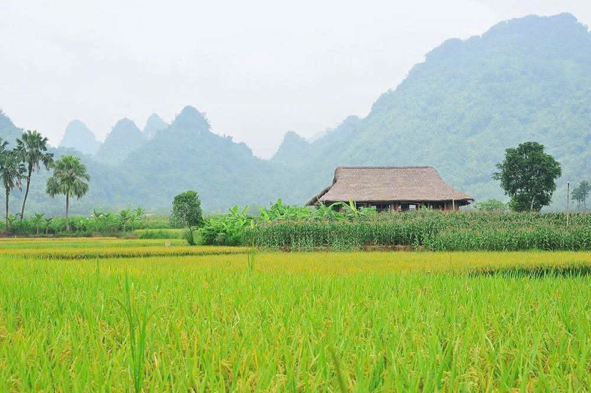 Les jeunes de Lâm Thuong misent sur le tourisme communautaire