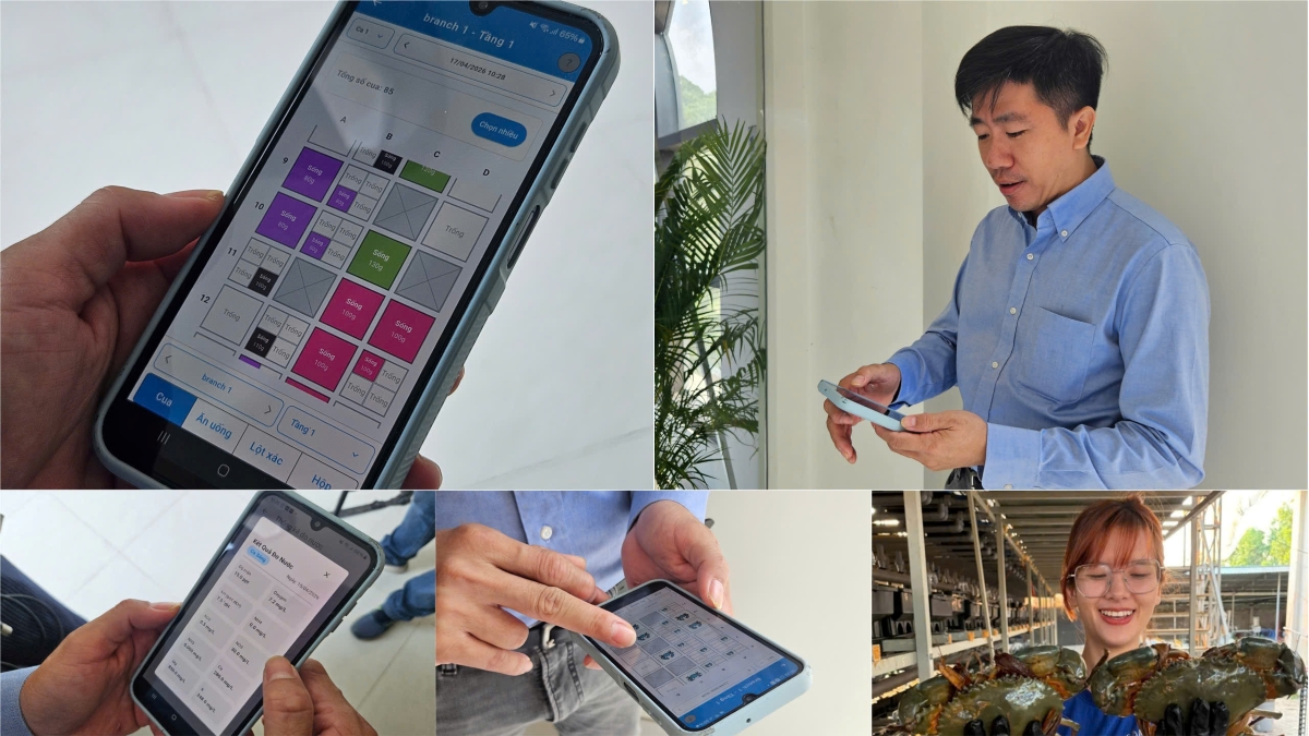 Künstliche Intelligenz wertet vietnamesische Agrarprodukte auf 