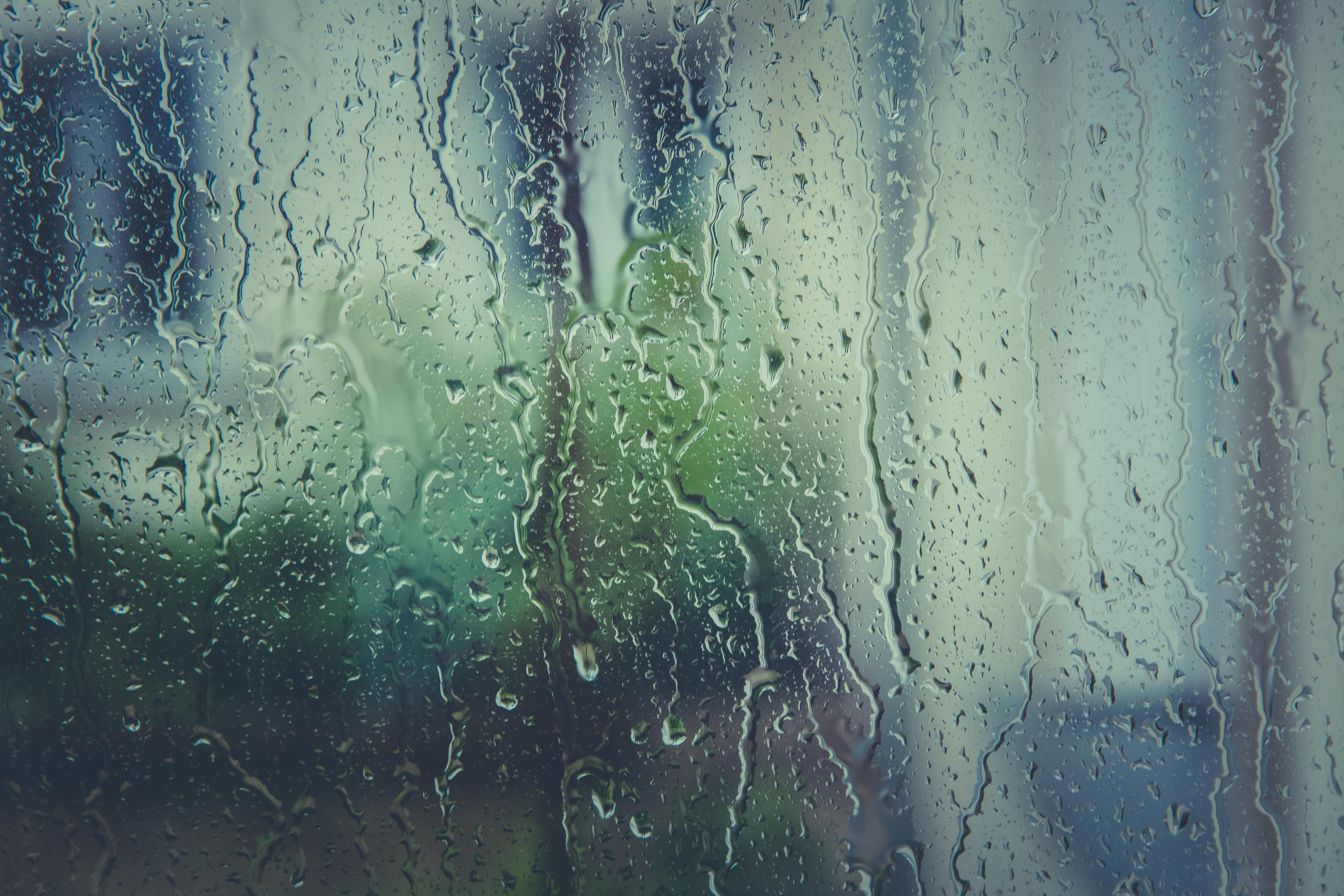 雨にちなんだ特集