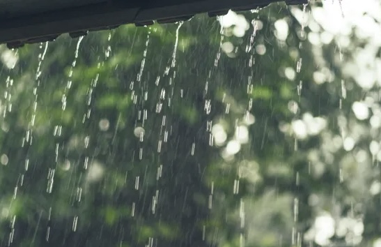 歌手チュン・クアンによる雨にちなんだ選曲