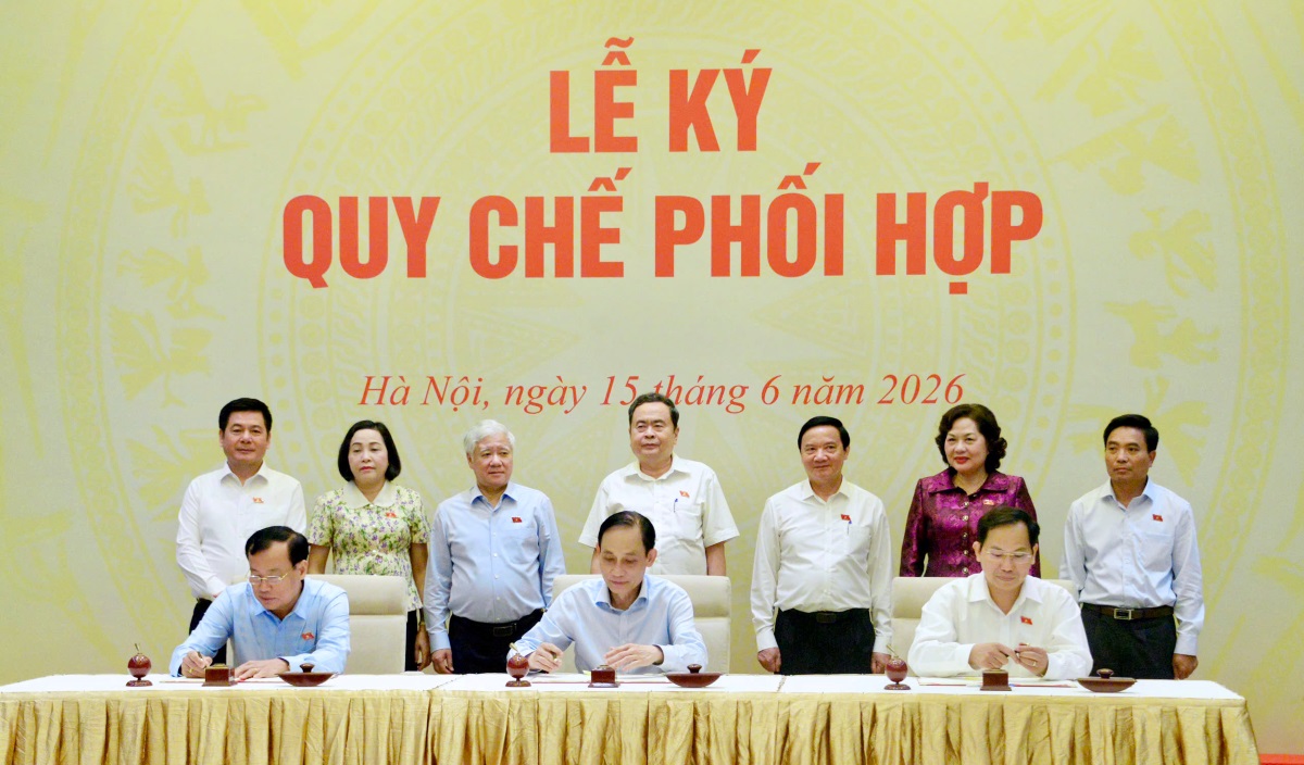 image-article