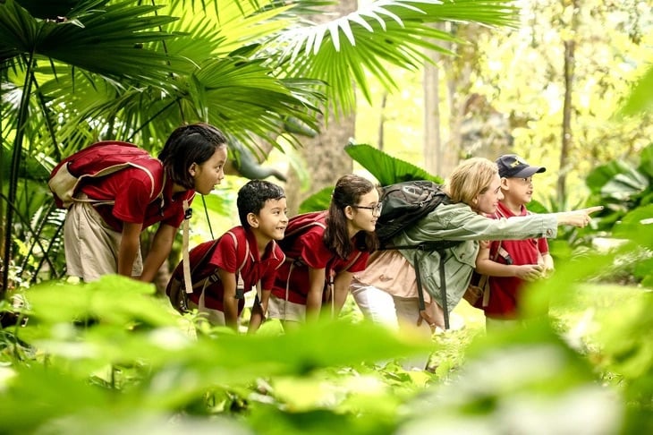 Les camps d’été au Vietnam, une expérience éducative de plus en plus prisée