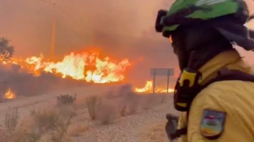 スペイン南部で山火事「史上最悪」 死者12人