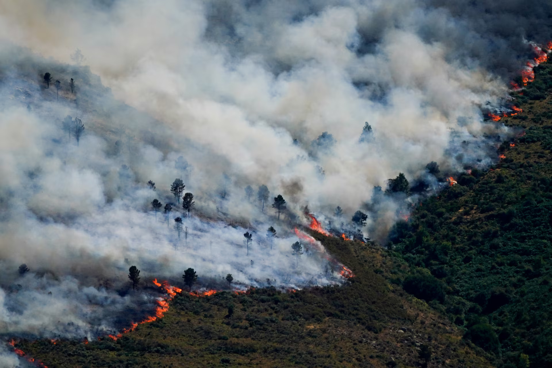 Más de 200.000 personas evacuadas por los graves incendios forestales en Francia y España