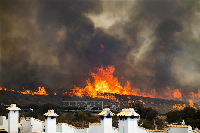 La vague de chaleur se poursuit, tandis que les incendies de forêt s'étendent dans plusieurs pays européens
