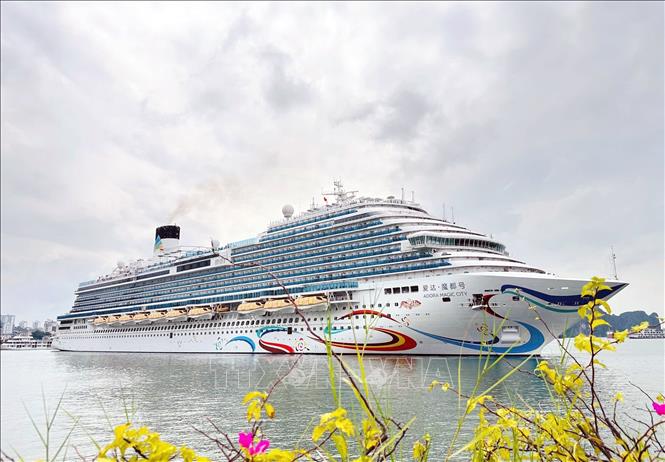 Quang Ninh busca incorporar sus destinos patrimoniales a las rutas de los grandes cruceros internacionales