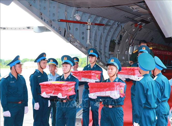 Mehr als 7.000 Proben sterblicher Überreste gefallener Soldaten sicher nach Hanoi zur DNA-Analyse transportiert