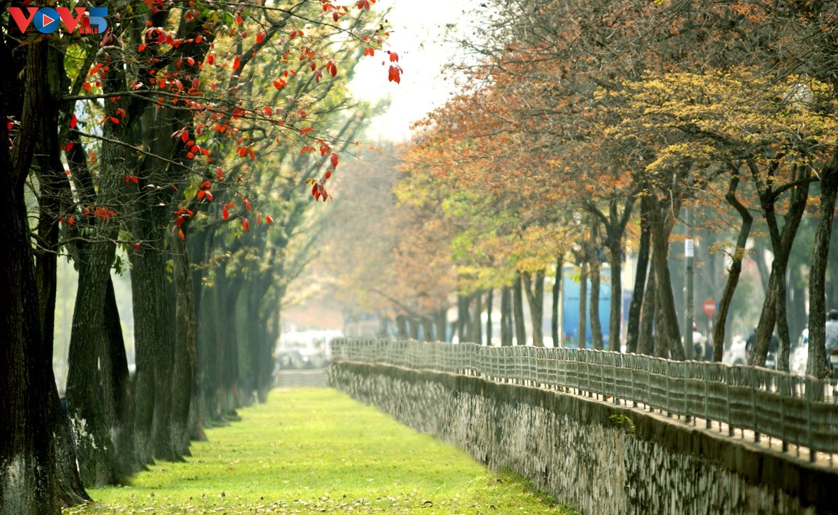 À quand l’automne à Hanoï?