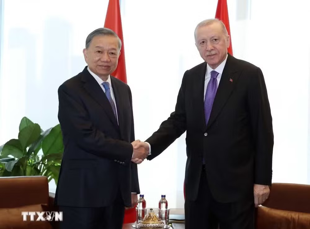 Vietnam et Turquie veulent renforcer leur coopération