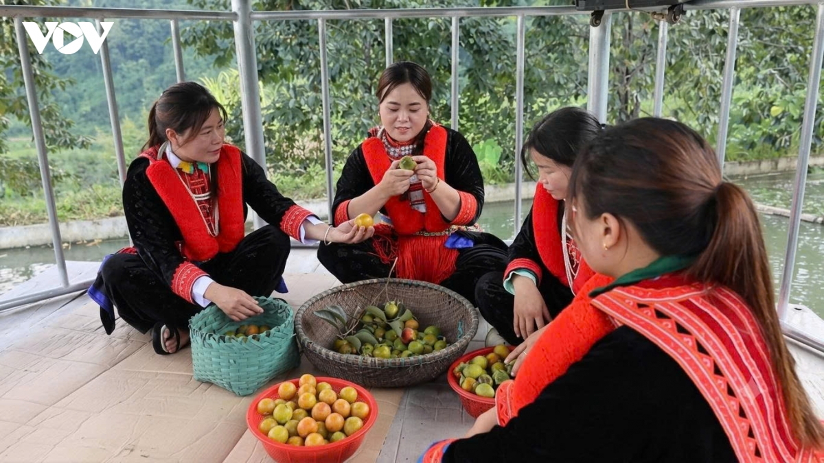 image-article