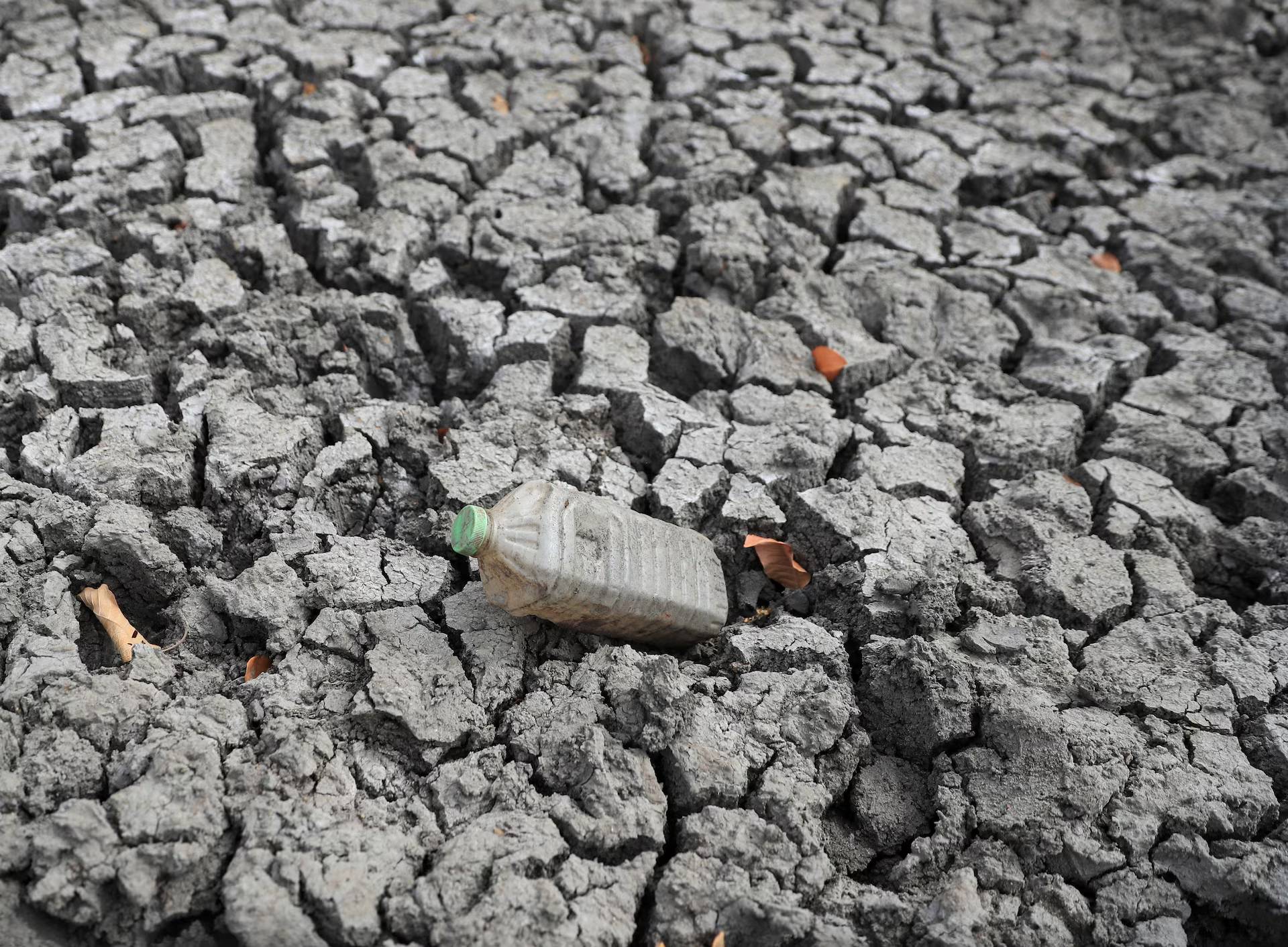 L’ONU alerte sur la menace majeure d’un épisode El Niño particulièrement intense pour la santé mondiale