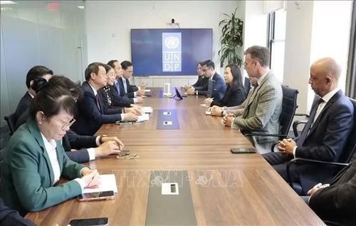 image-article