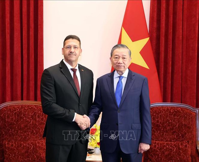苏林接受各国驻越大使递交国书