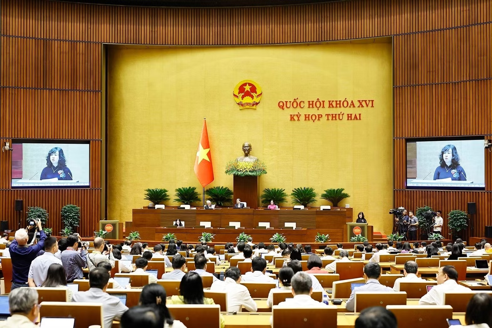 image-article