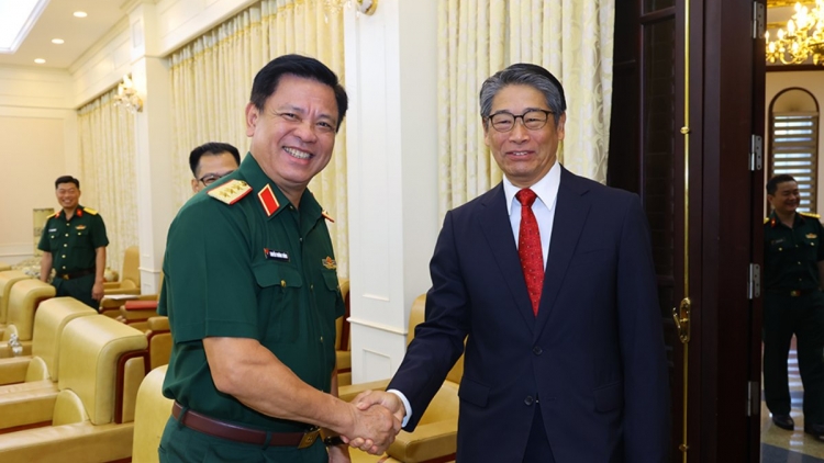 Thượng tướng Nguyễn Trường Thắng và Đại sứ Ito Naoki tại buổi tiếp. Ảnh: Bộ Quốc phòng