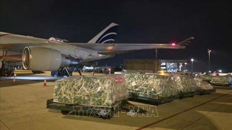 Hampir Seratus Ton Hortikultura Vietnam Talukkan Pasar UAE