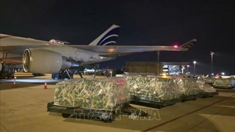 ຜັກ​ໝາກ​ໄມ້ເກືອບ 100 ໂຕນ ພິ​ຊິດ​ຕະຫຼາດ UAE