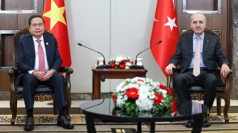 ベトナムとトルコ　重要分野で協力強化へ