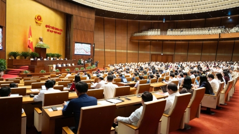 Luật sư công đảm bảo khả năng làm việc độc lập trong môi trường pháp lý quốc tế