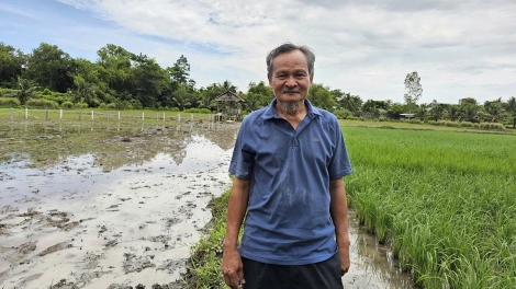 Le Quoc Viet, un agricultor que apuesta por la variedad de arroz de temporada 