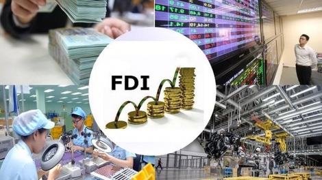 Domestic, FDI enterprises join forces for growth momentum
