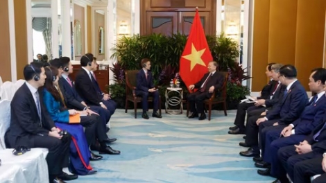 Tổng Bí thư, Chủ tịch nước Tô Lâm tiếp lãnh đạo các Tập đoàn doanh nghiệp và Tổ chức tài chính lớn của Singapore
