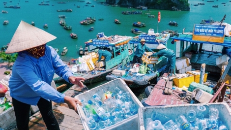 Giữ màu xanh Vịnh Hạ Long vì tương lai di sản bền vững