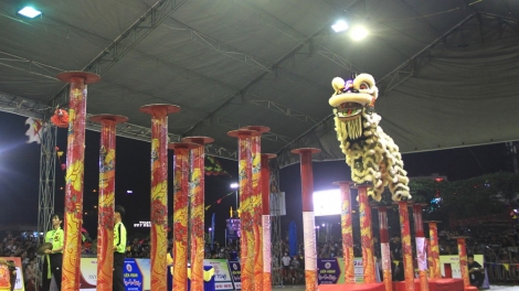 Gia Lai to host International Lion and Dragon Dance Festival in August
