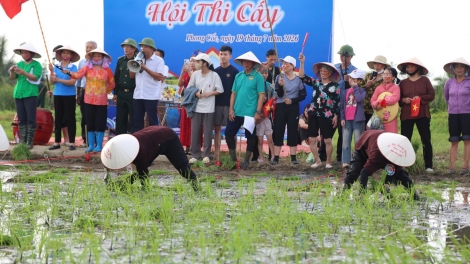 Rice planting festival marks new farming season in Quang Ninh’s island community