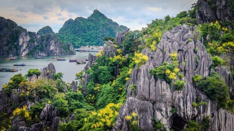 La baie d'Ha Long se couvre d'or