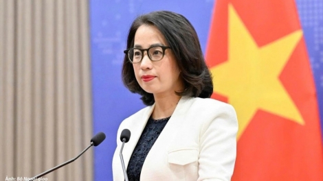 Le Vietnam renforce la lutte contre la fraude à l’origine et le transbordement illégal