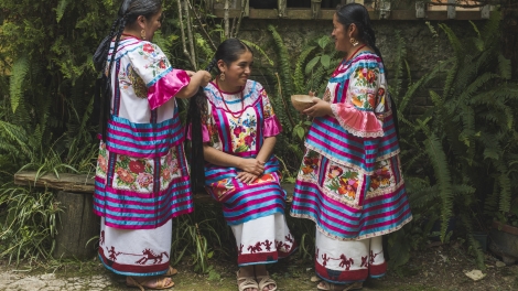 The voices of indigenous Mexico: Part 2
