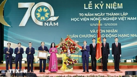 ສະ​ຖາ​ບັນ​ກ​ະ​ສິ​ກຳ ຫວຽດ​ນາມ: ນຳ​ພູ​ມ​ປັນ​ຍາ ຈາກ​ໂຮງ​ຮຽນ​ໄປ​ສູ່ ທົ່ງ​ນາ