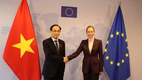 ベトナム・EU 包括的な戦略的パートナーシップを新たな高みへ