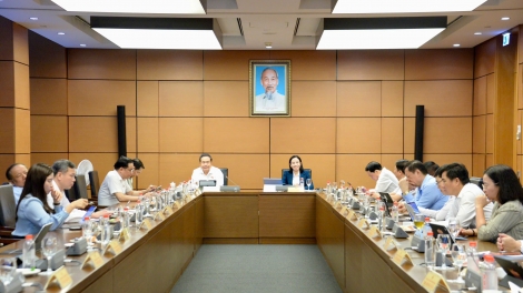 与承诺和执行结果挂钩的投资支持特殊激励措施