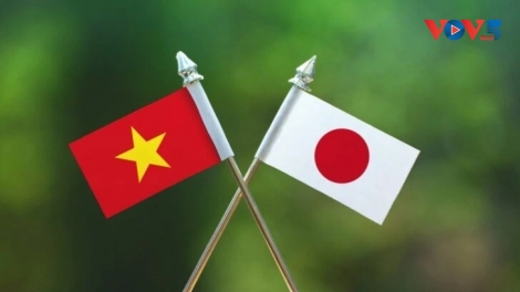 Le Vietnam et le Japon renforcent leur coopération dans la santé