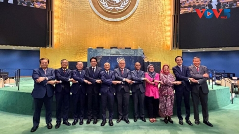 UNGA adopts Resolution commemorating 50th anniversary of Friendship Treaty