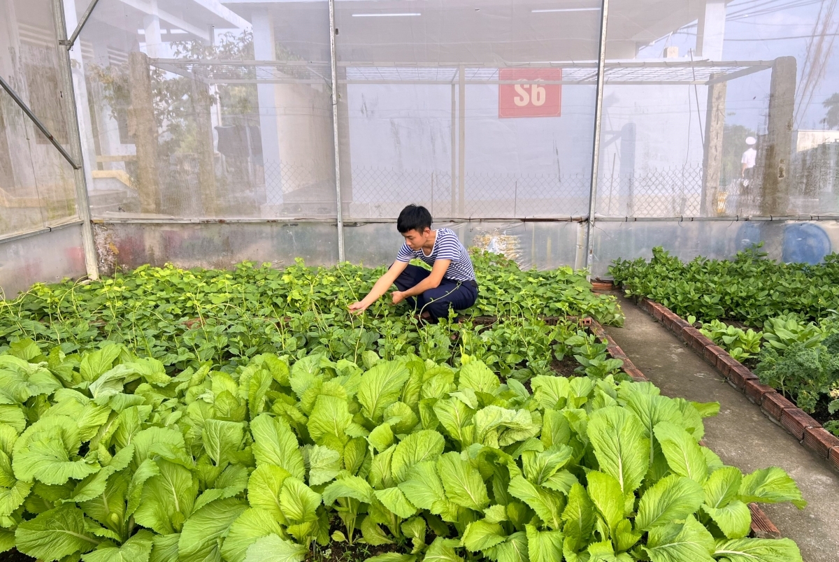Soldier Mai Van Chien tends to his vegetable garden. Photo: Huyen Trang/VOV5