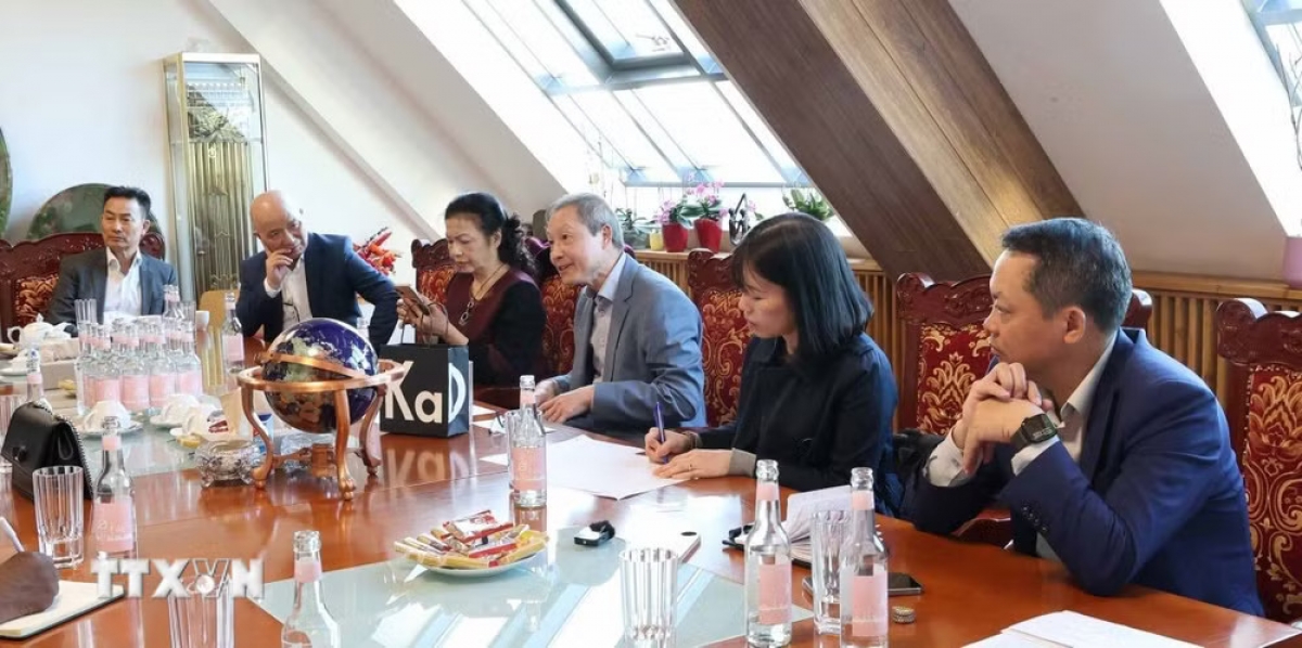 Nguyen Viet Duc, Vize-Vorsitzender des Verbands vietnamesischer Vereine in Deutschland, redet beim Treffen. (Foto: Vu Hiep/VNA)