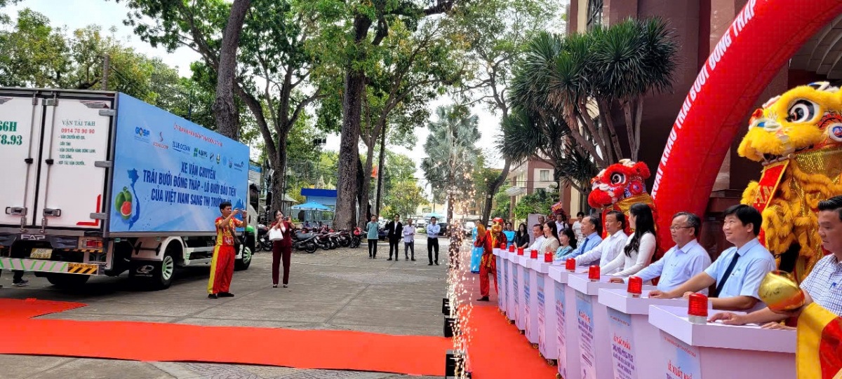 Ceremony marking the export of the first shipment of green-skin pomelos from Dong Thap Province to Australia (Photo: Chu Trinh/VOVcorrespondent in the Mekong Delta)