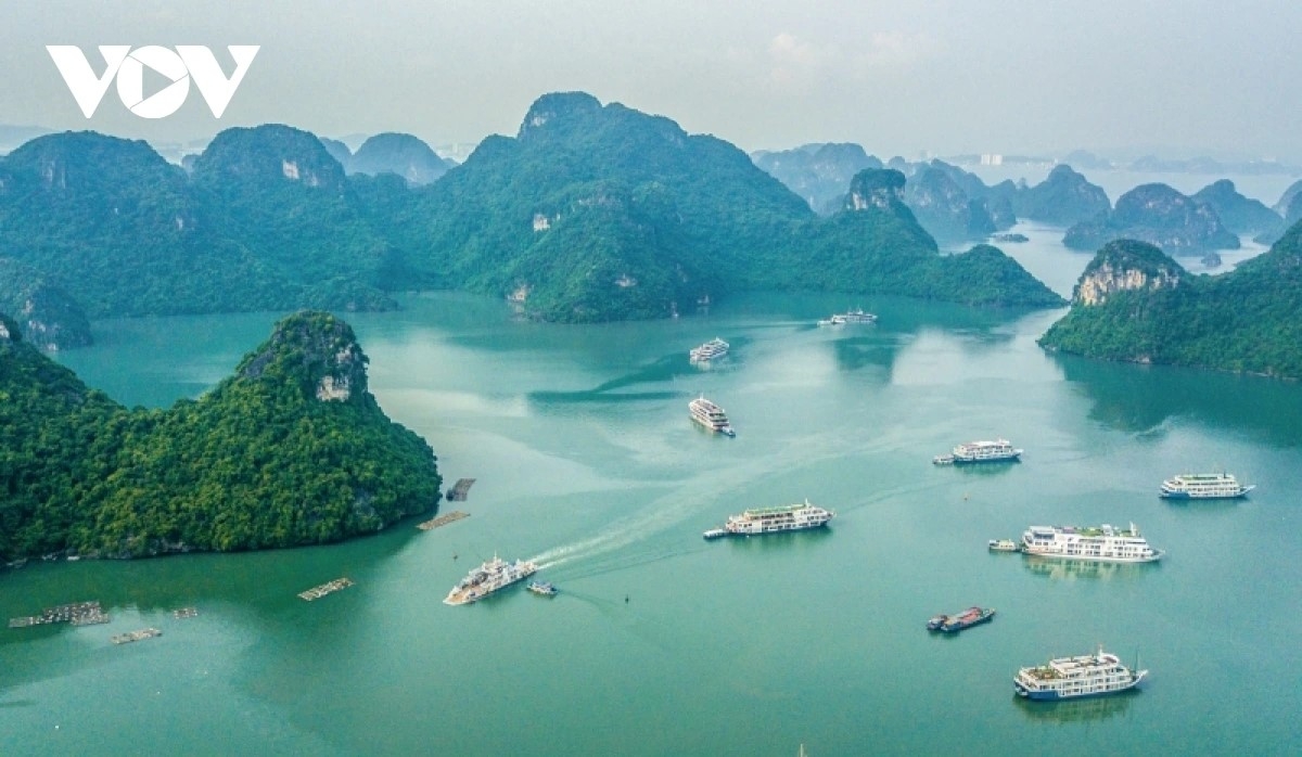Kapal-kapal di Teluk Ha Long (Foto: Truong Giang/ VOV)