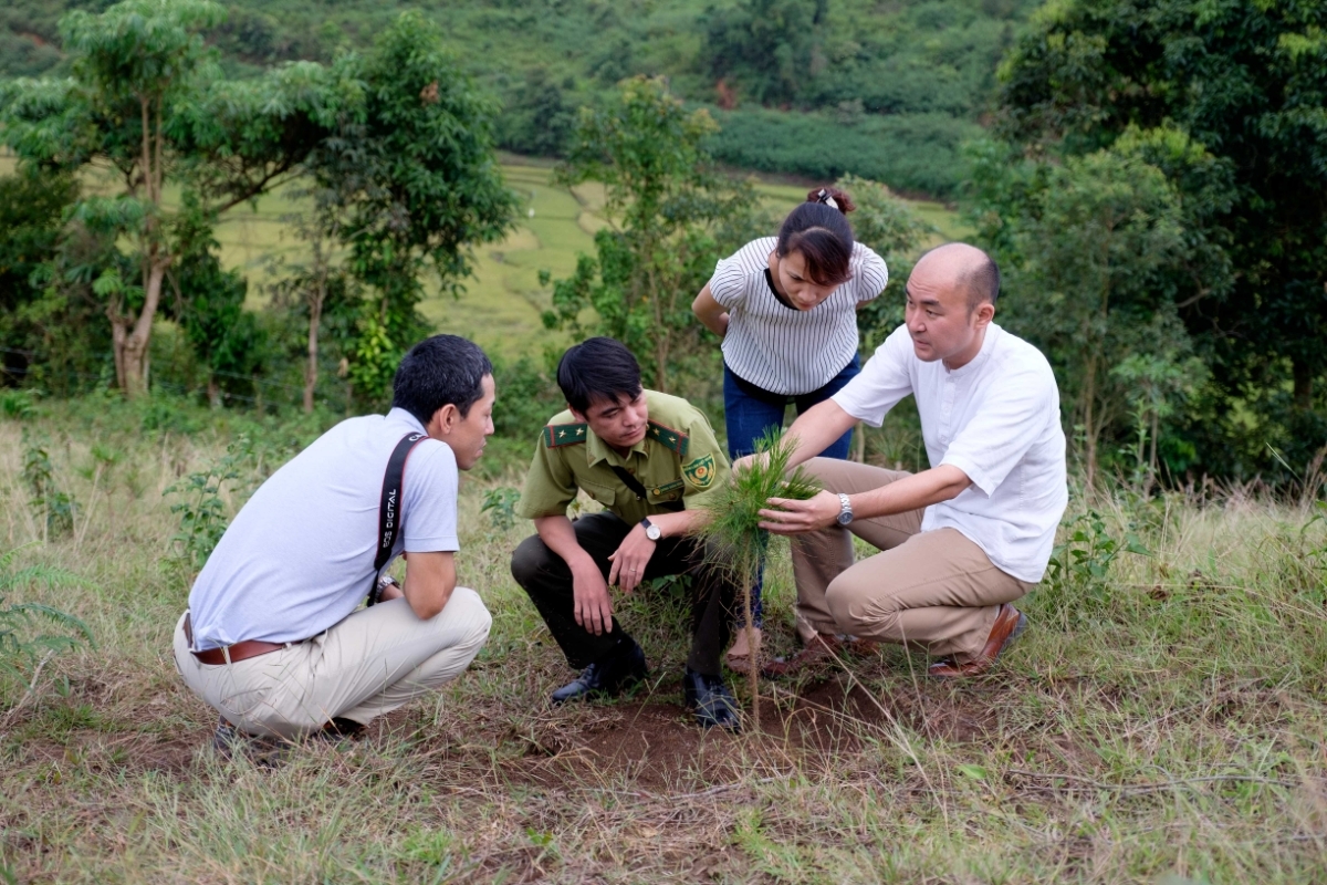 JICA expert Baku Takahashi (far right) guides forest planting in Muong Phang commune, Dien Bien province. (Photo: JICA)