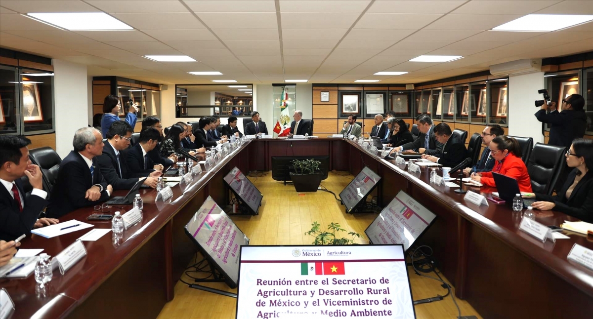 Quang cảnh buổi làm việc giữa Đoàn công tác và Ban Lãnh đạo Bộ Nông nghiệp và Phát triển Nông thôn Mexico. Ảnh: Phi Hùng/TTXVN