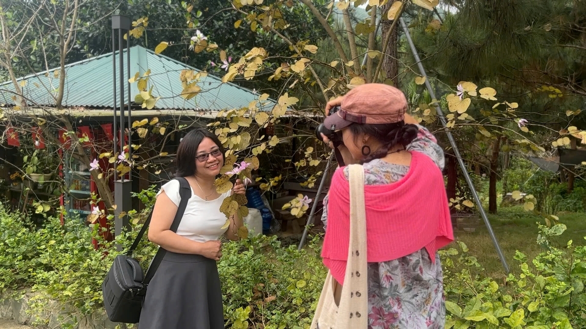 Touristes à la zone écotouristique de Ngoc Dông. Photo: VOV